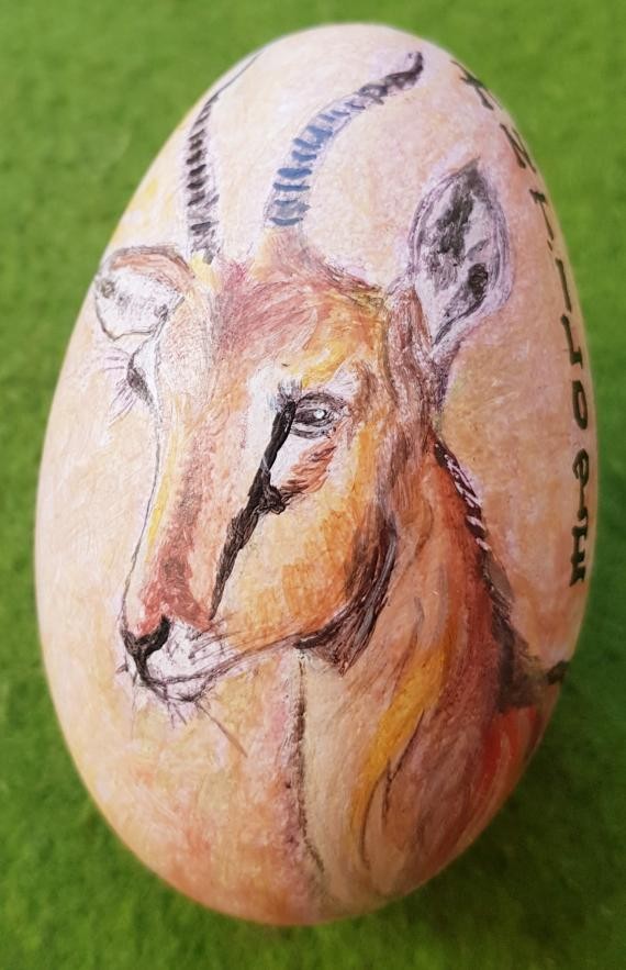 Antilope von Silvia Fahrion