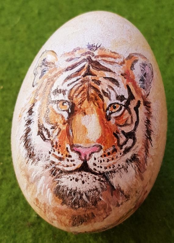 Tiger von Silvia Fahrion