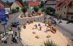 Landes-Rasseschau der Züchtervereinigung Limpurger Rind auf dem Marktplatz in Schechingen 